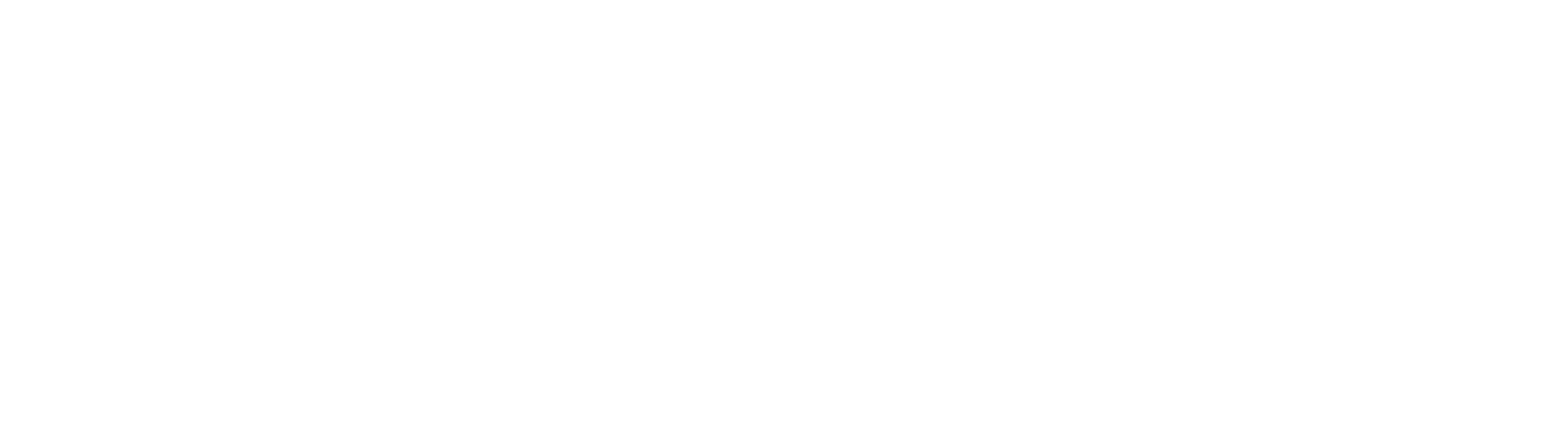 Bin Al Shiekh